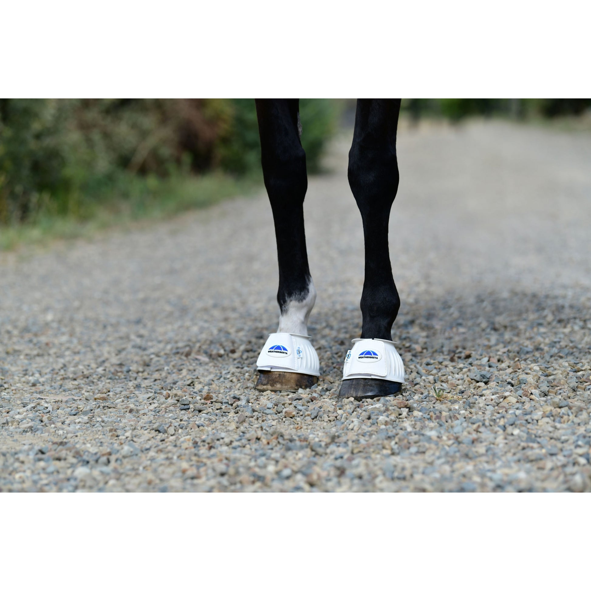 Weatherbeeta Tough-Tec Prime Rubber Bell Boots
