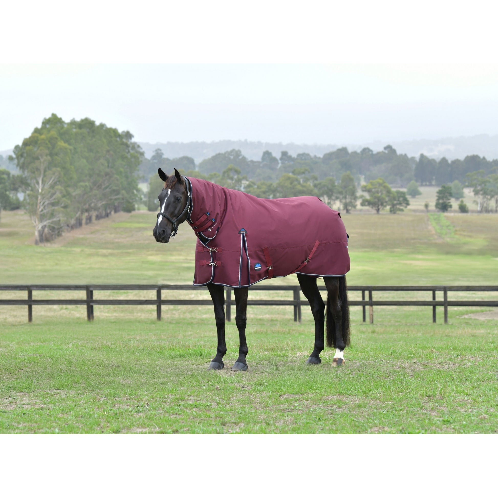 Weatherbeeta ComFiTec Essential Turnout Combo 50g
