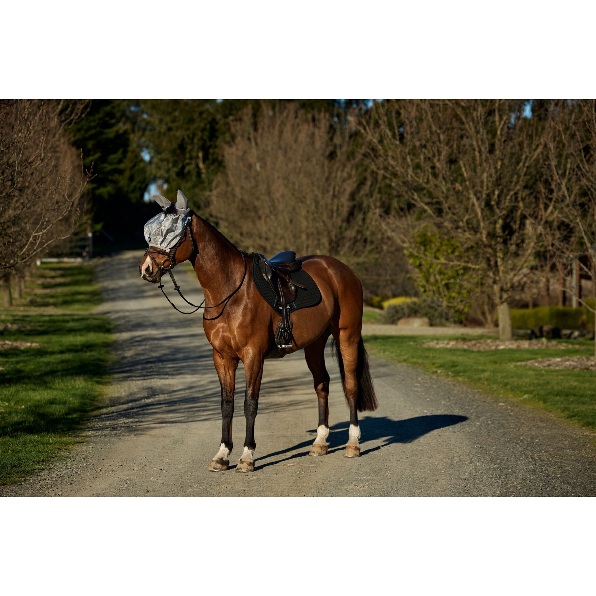 Weatherbeeta ComFiTec Hexi Shield Ride On Fly Mask