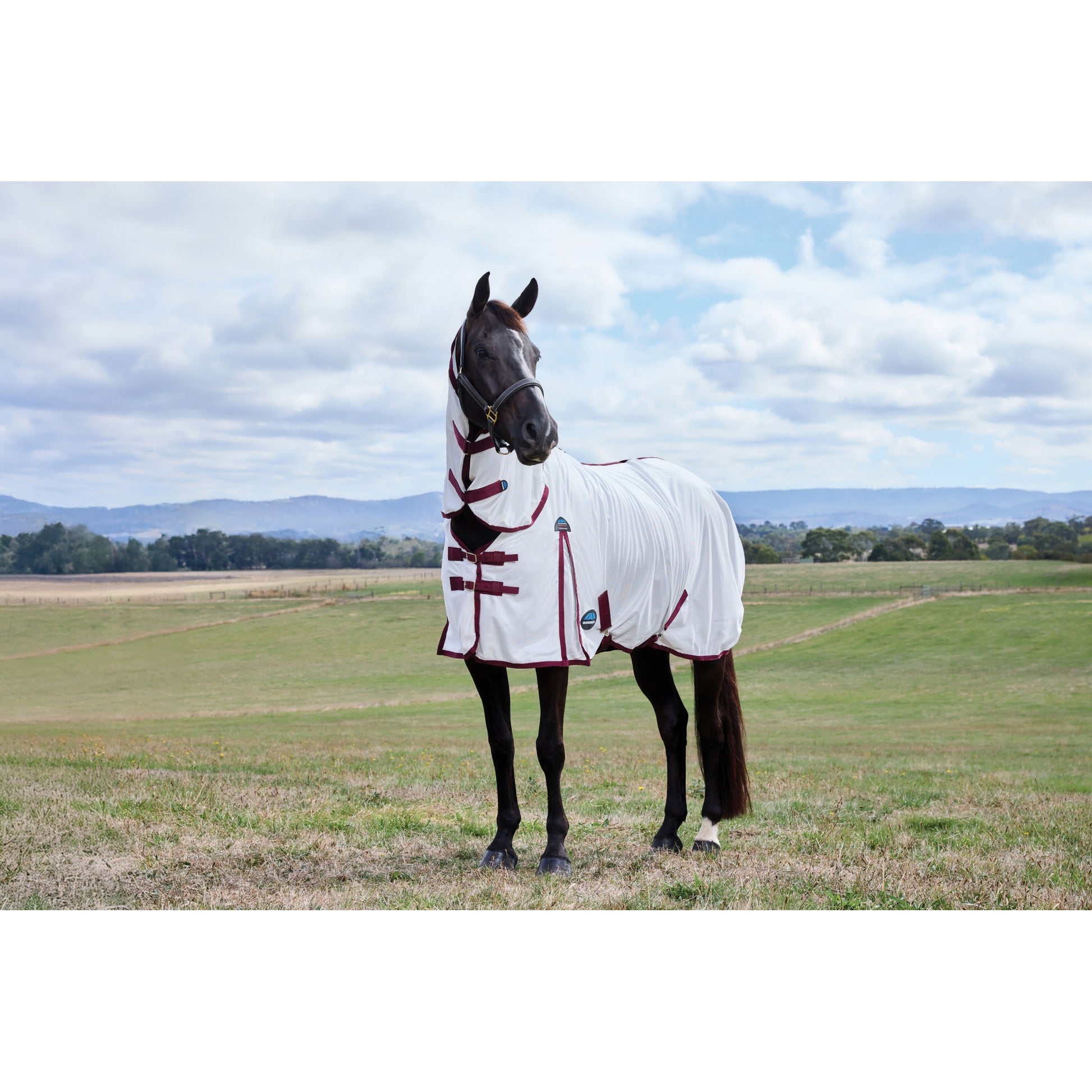 WeatherBeeta ComFiTec Essential Combo Neck Fly Sheet