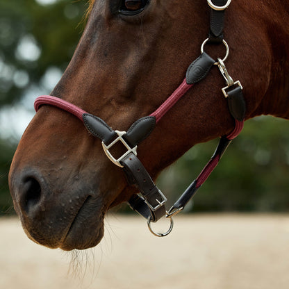 Dublin Leather Rope Headcollar