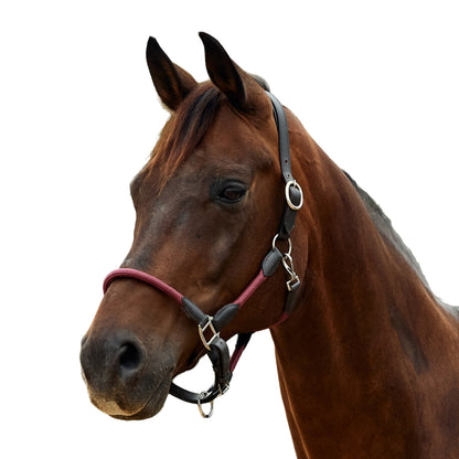 Dublin Leather Rope Headcollar