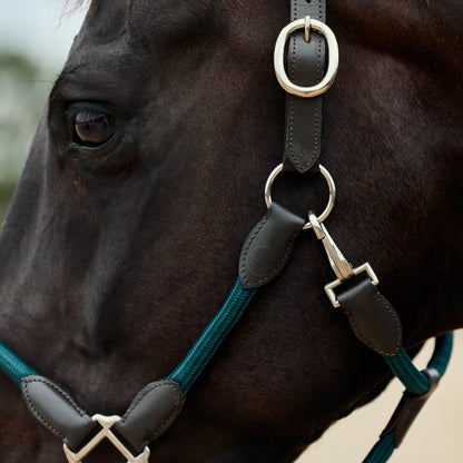 Dublin Leather Rope Headcollar