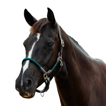Dublin Leather Rope Headcollar