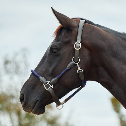 Dublin Leather Rope Headcollar