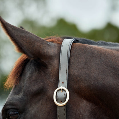 Dublin Leather Rope Headcollar