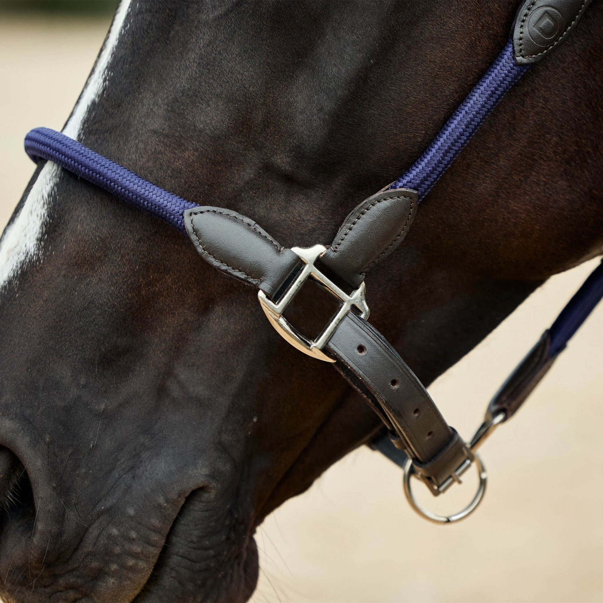 Dublin Leather Rope Headcollar