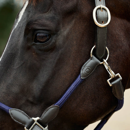 Dublin Leather Rope Headcollar
