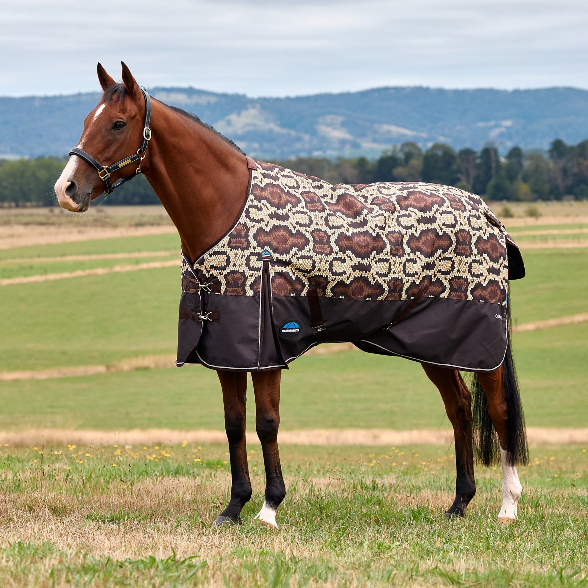 Weatherbeeta ComFiTec Legend Turnout Standard Neck 100g