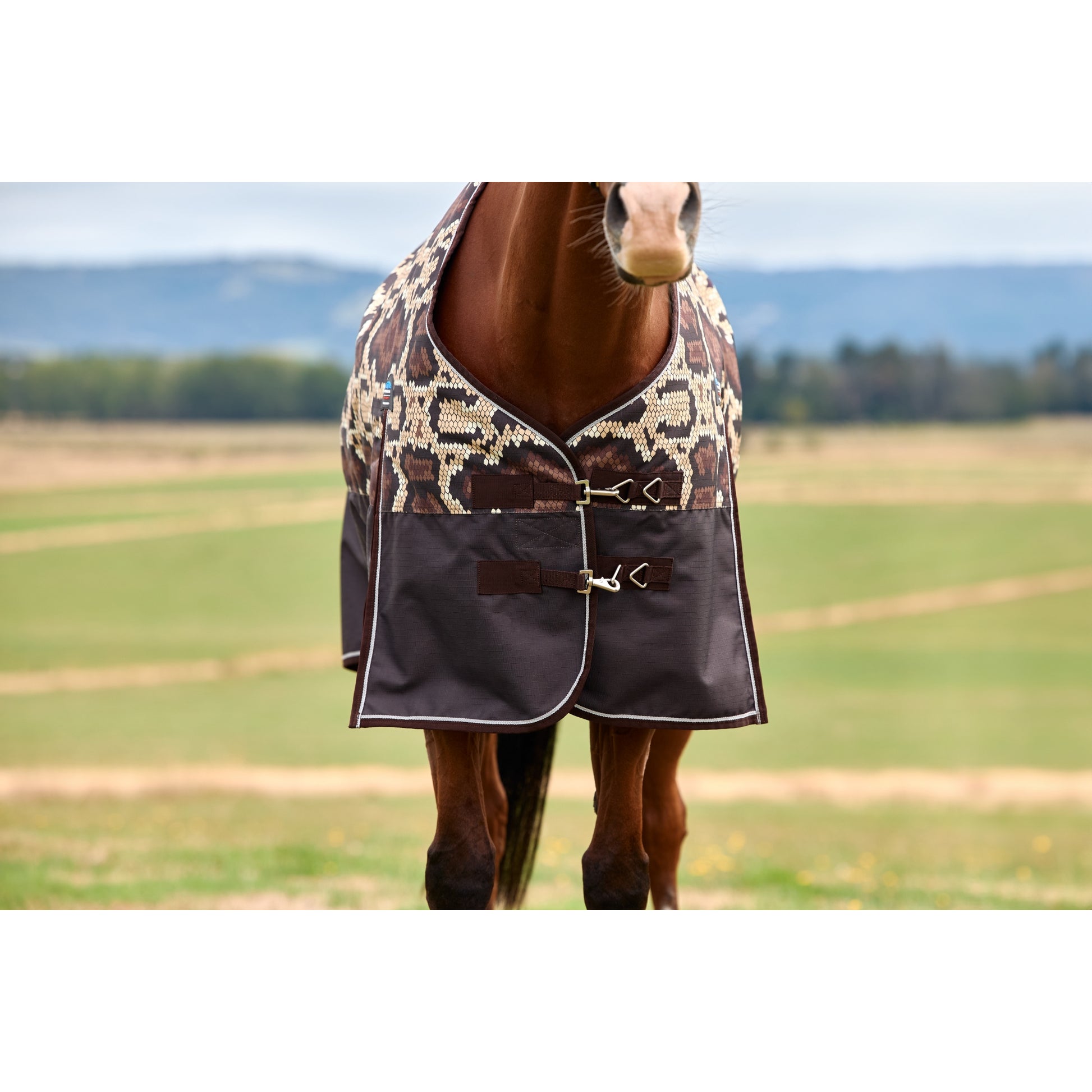 Weatherbeeta ComFiTec Legend Turnout Standard Neck 100g