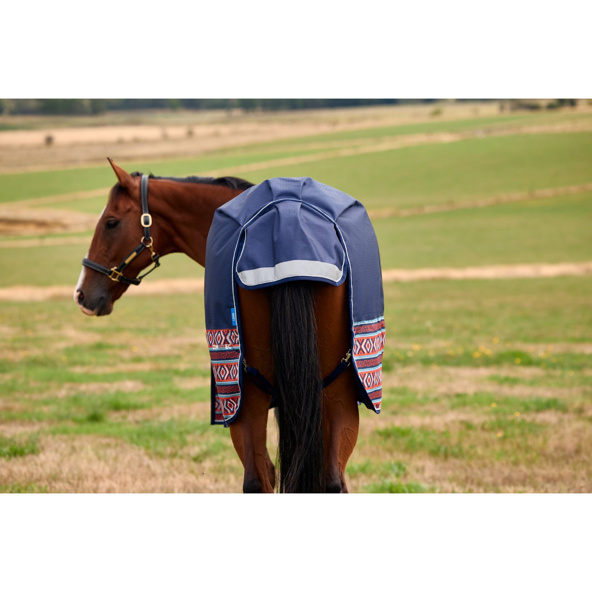 Weatherbeeta ComFiTec Legend Turnout Standard Neck 220g