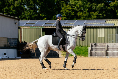 Lemieux Suede Dressage Square Pad