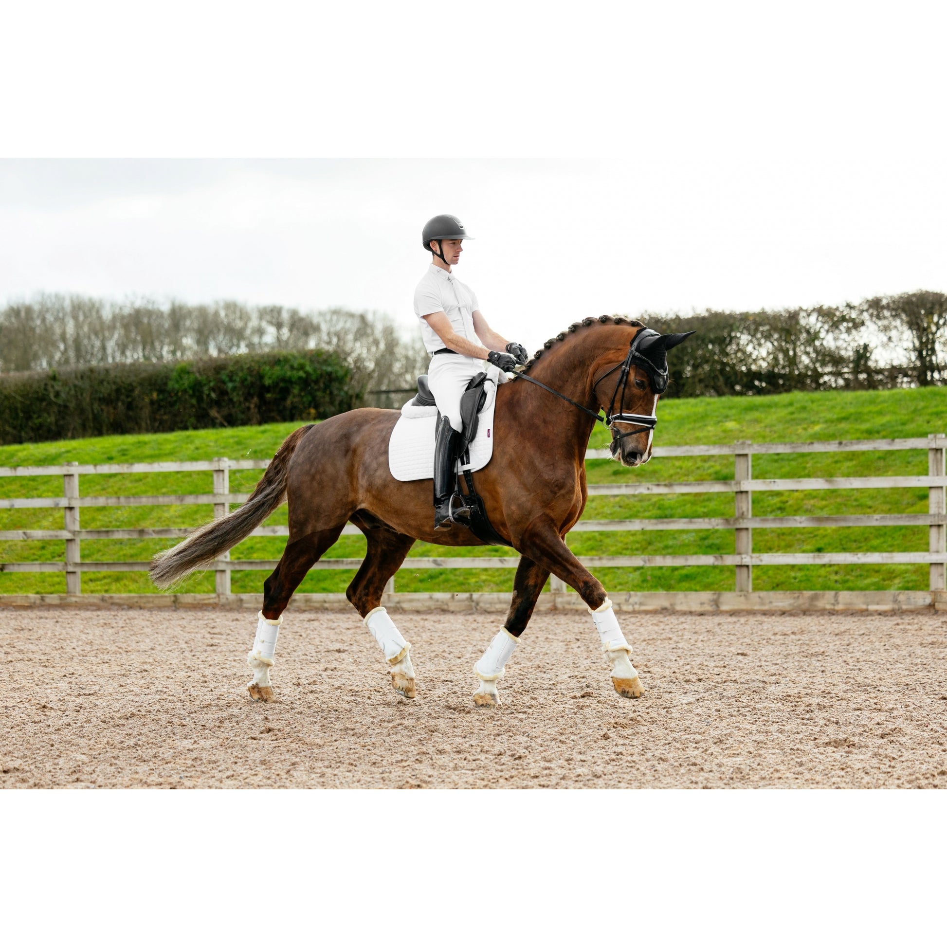 Lemieux Suede Dressage Square Pad