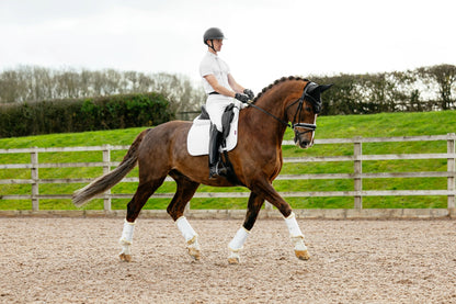 Lemieux Suede Dressage Square Pad