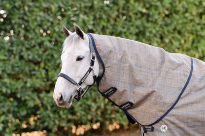 Amigo 900D Revive Plus Turnout 50g
