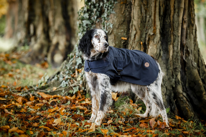 Horseware Newmarket Heritage Dog Coat