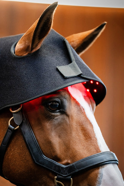 Horseware LED Red Light Therapy Poll Cap