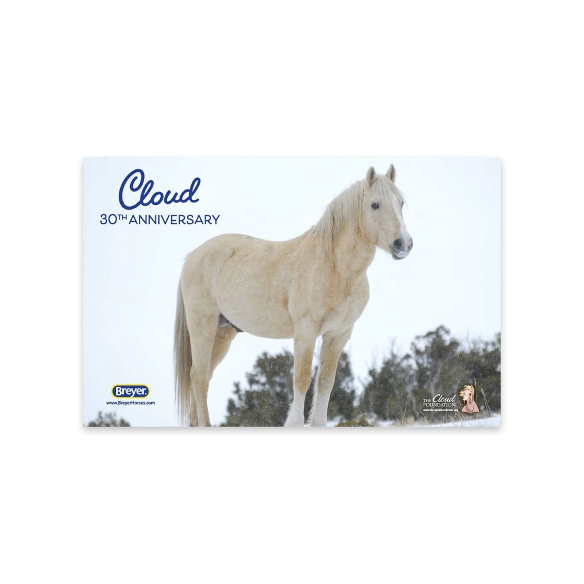 Breyer Cloud: 30th Anniversary Edition - Wild Stallion of the Rockies