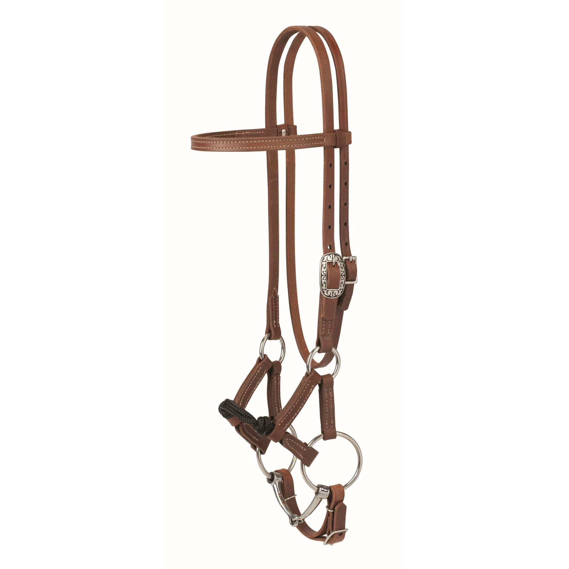 Weaver Kalley Krickeberg Horsemans Transition Bridle