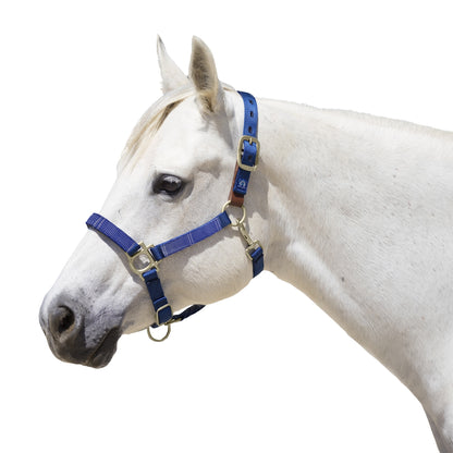 Kensington Breakaway Halter