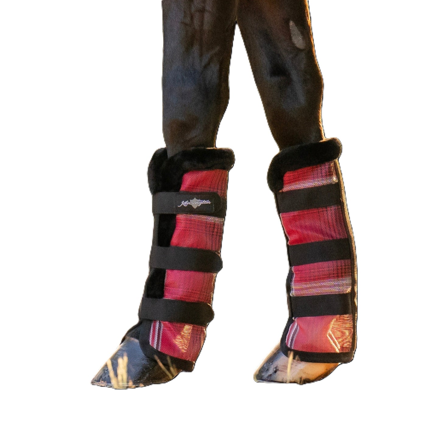 4-527150.jpg