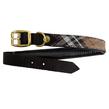 Kensington Nylon Dog Collar with Padding