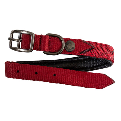Kensington Nylon Dog Collar with Padding