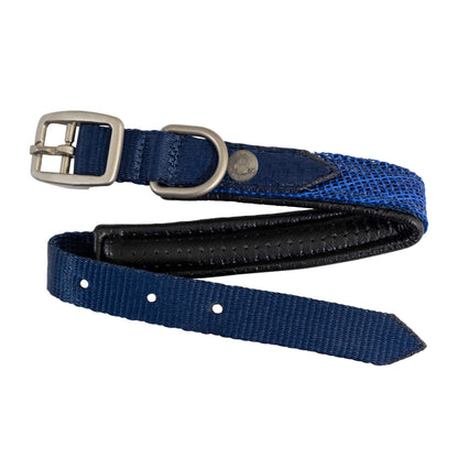 Kensington Nylon Dog Collar with Padding