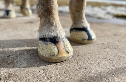 Easycare EasyShoe Versa Grip Glue Hind Shoe
