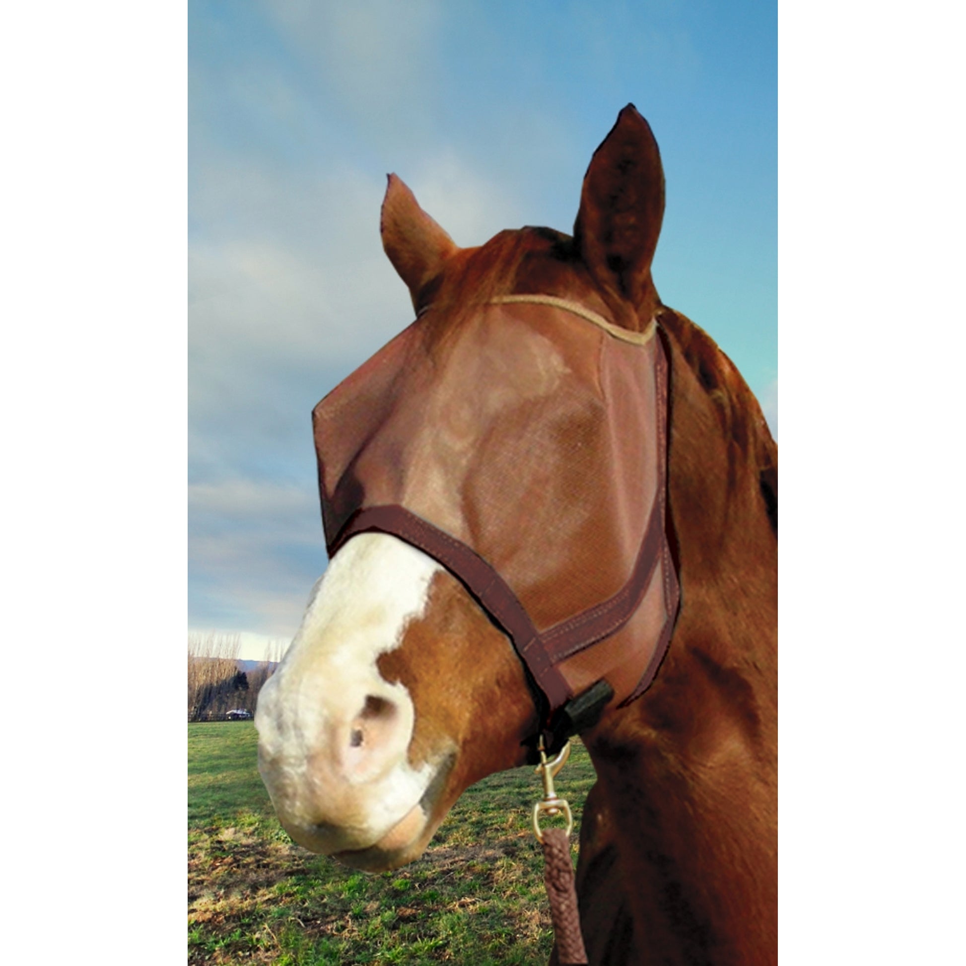 UV CatchMask Web Trim