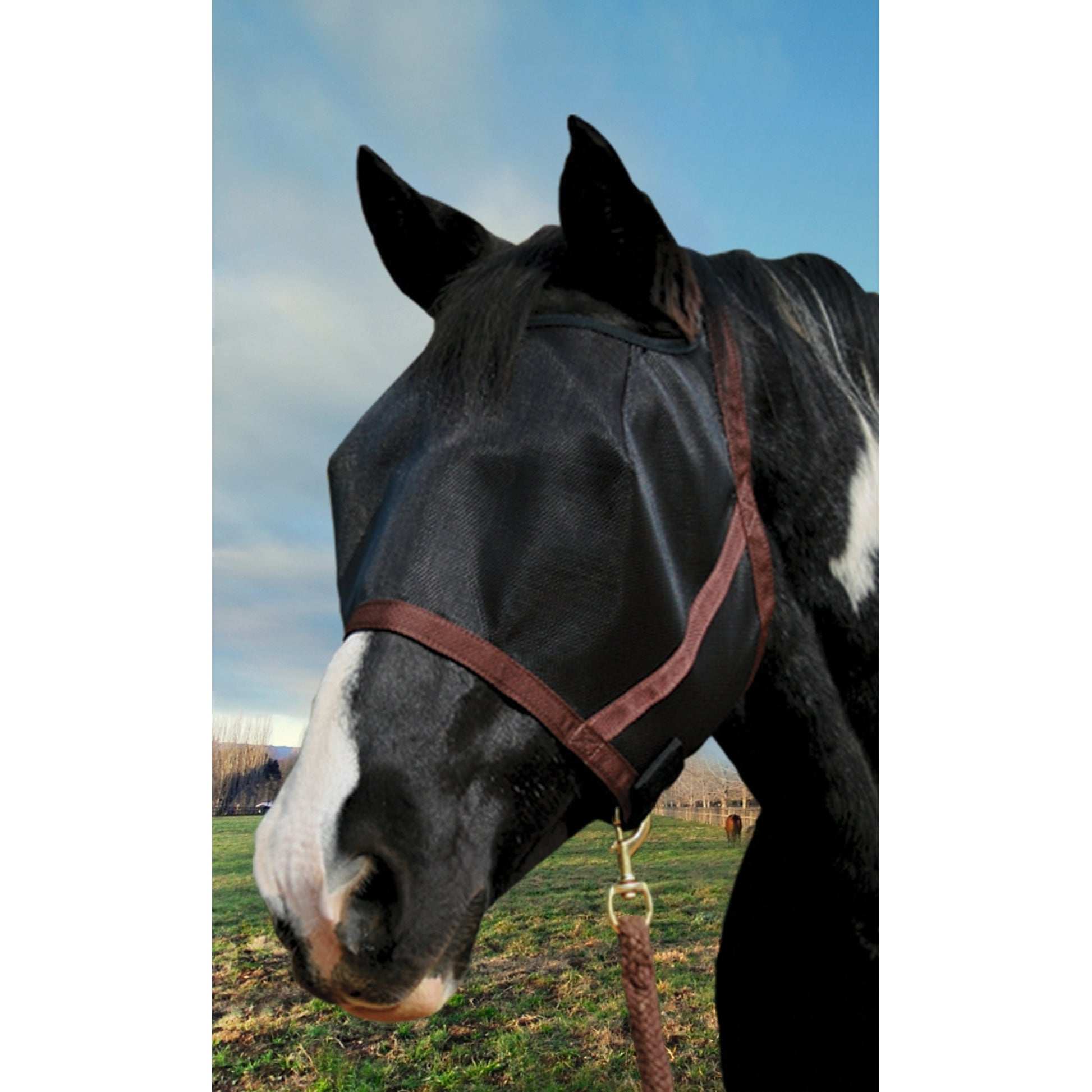 UV CatchMask Web Trim