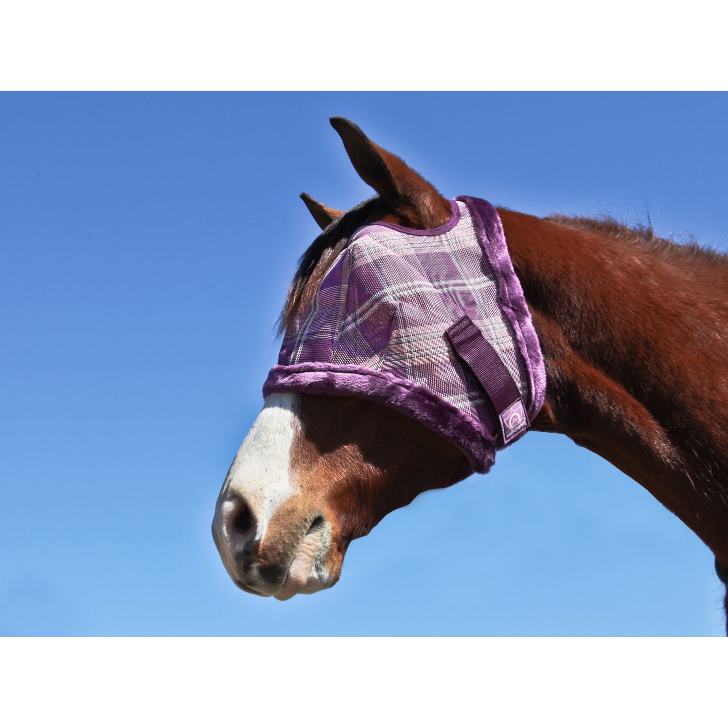 5-446993plumiceplaid.jpg