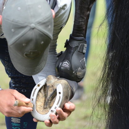 Veredus Elastic Pro-Jump Fetlock Boots