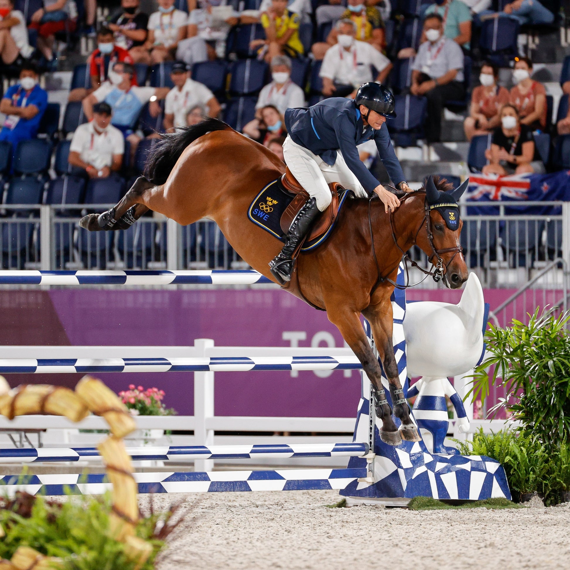 Veredus Elastic Pro-Jump Fetlock Boots