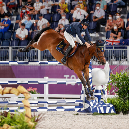 Veredus Elastic Pro-Jump Fetlock Boots