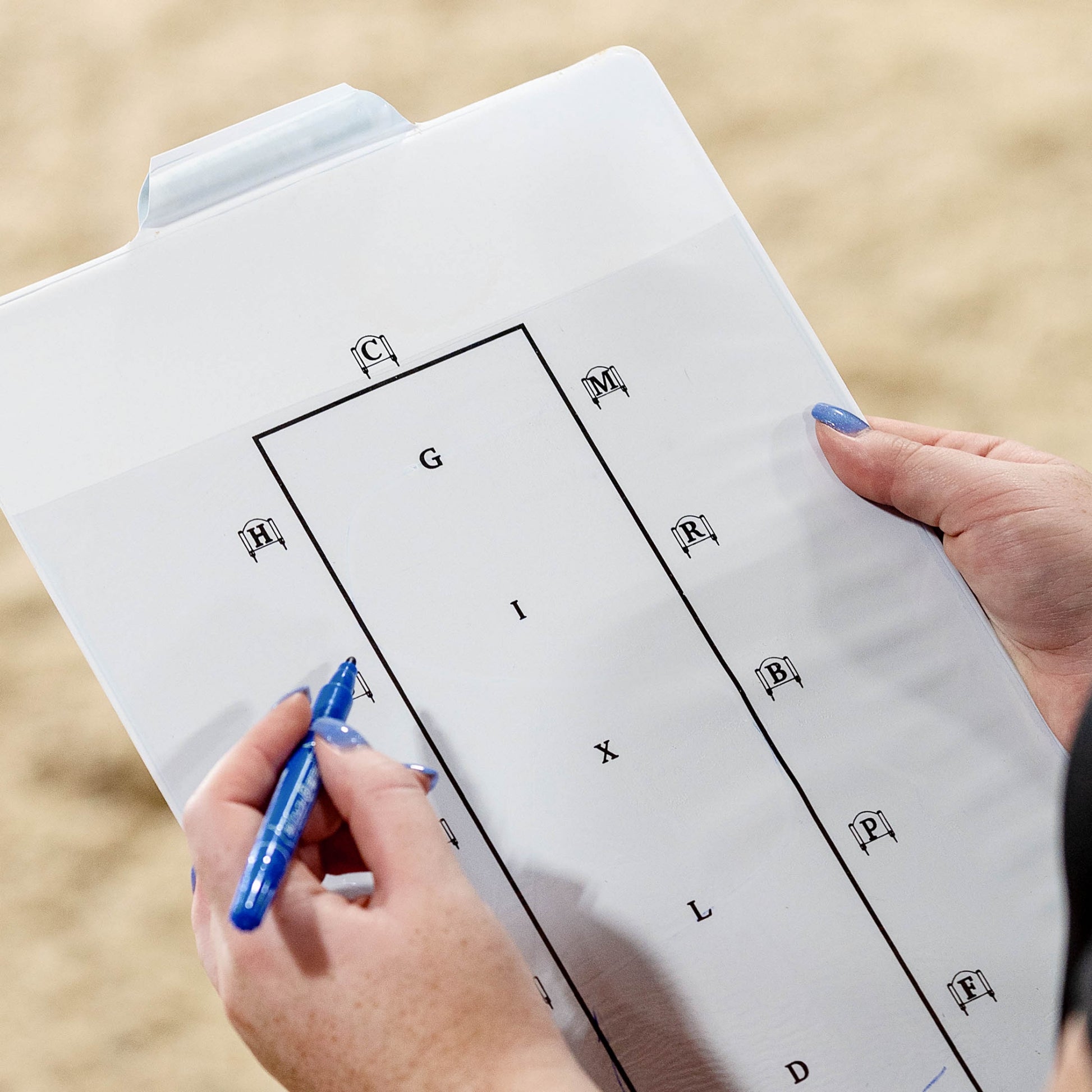 HorZe Learner Dressage Test Board