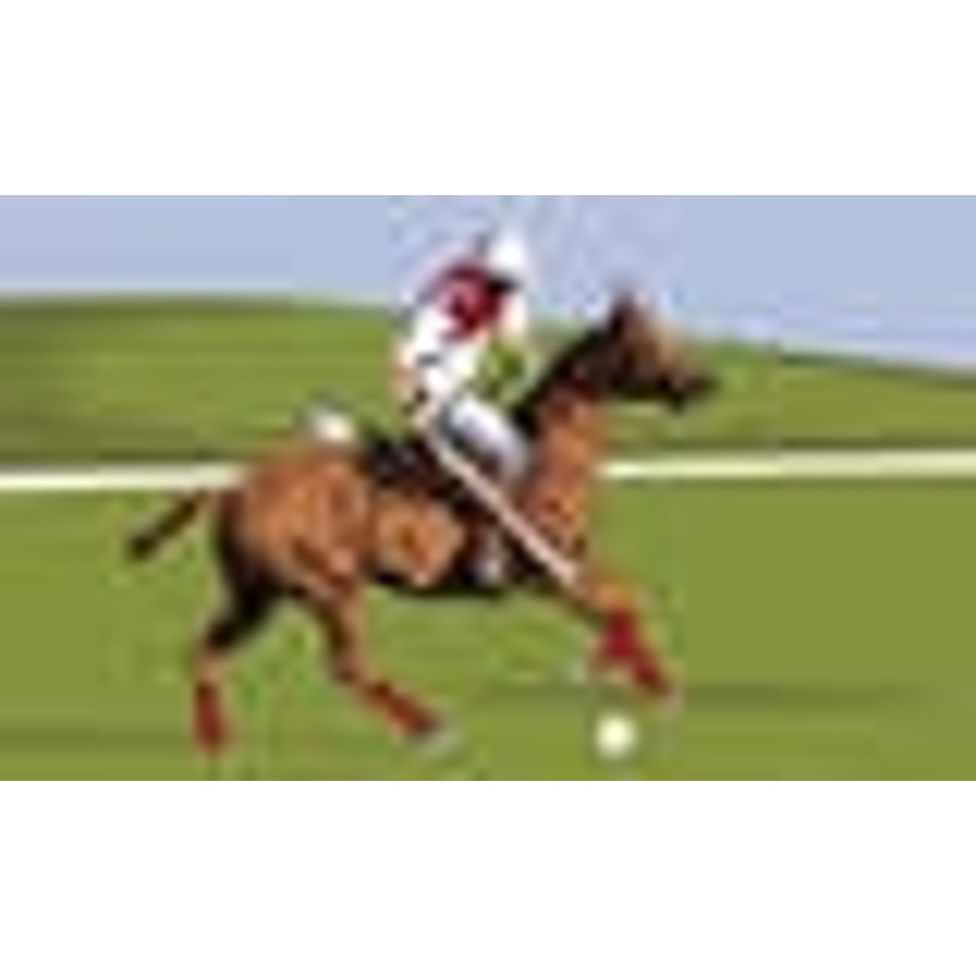 Coir Floor Mat - Polo