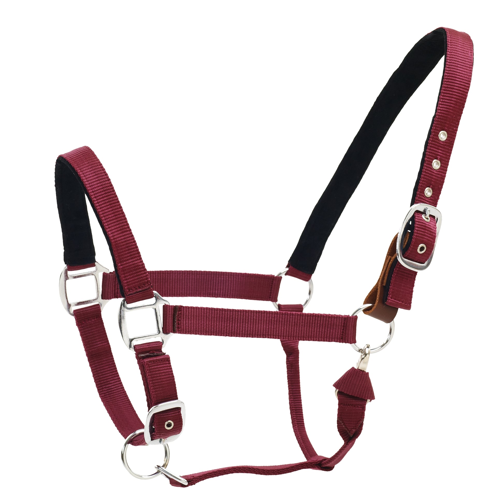Centaur Solid Cushion Padded Breakaway Halter