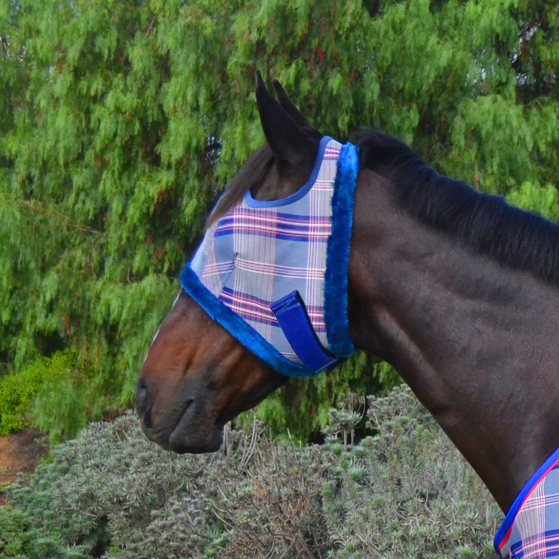 Kensington Fly Mask with Fleece Trim