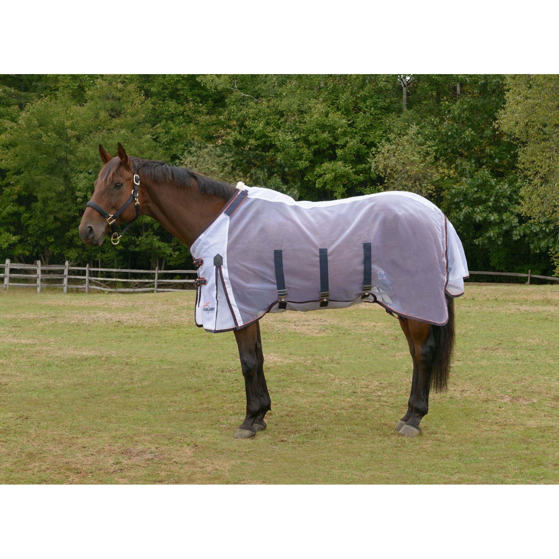Shires Highlander Fine Mesh Fly Sheet Set