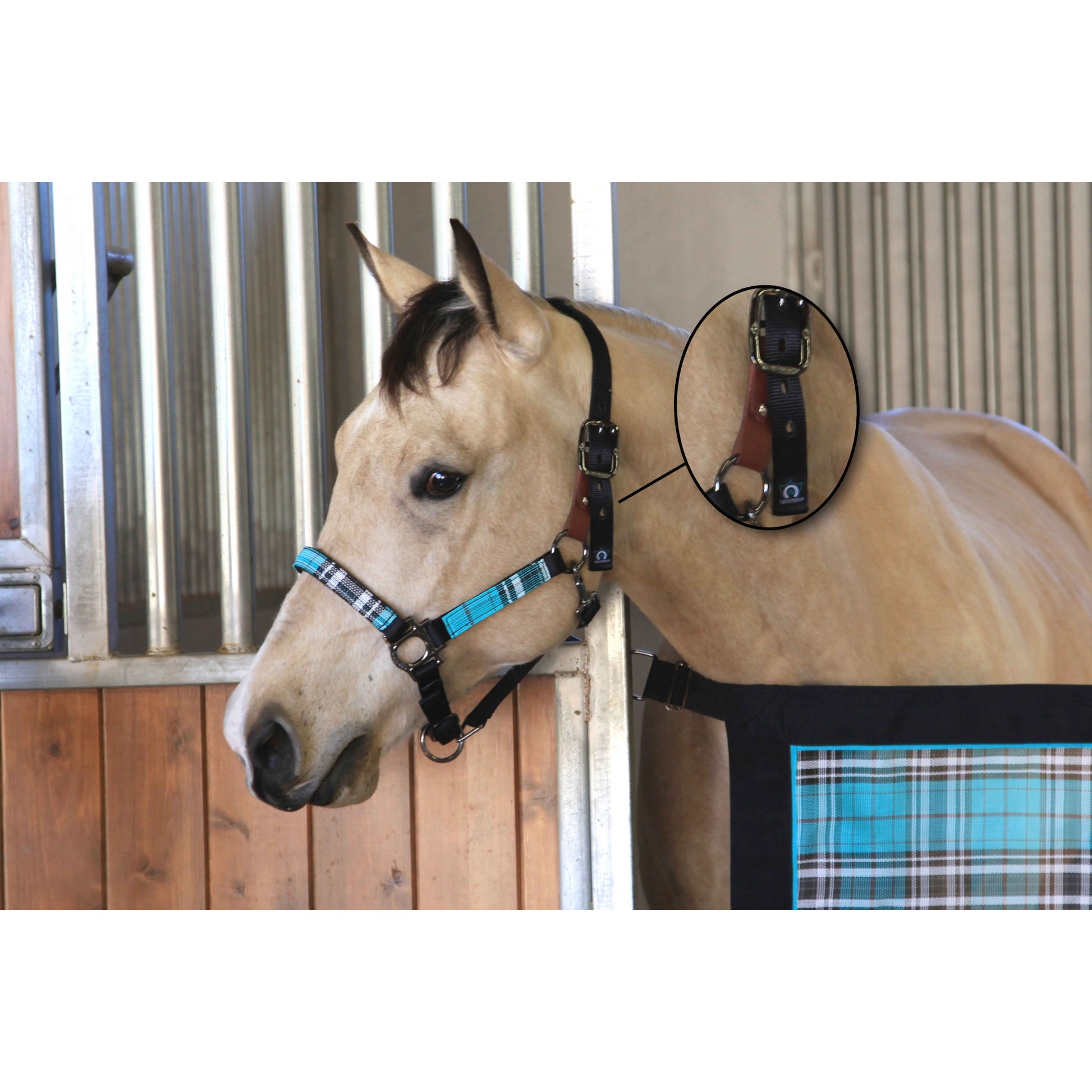 Kensington Breakaway Halter