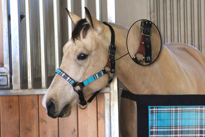 Kensington Breakaway Halter