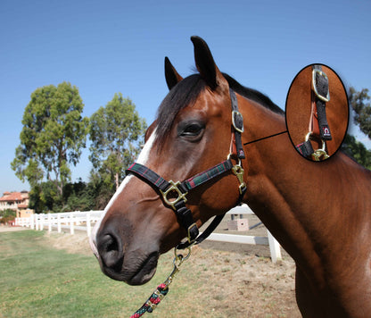 Kensington Breakaway Halter