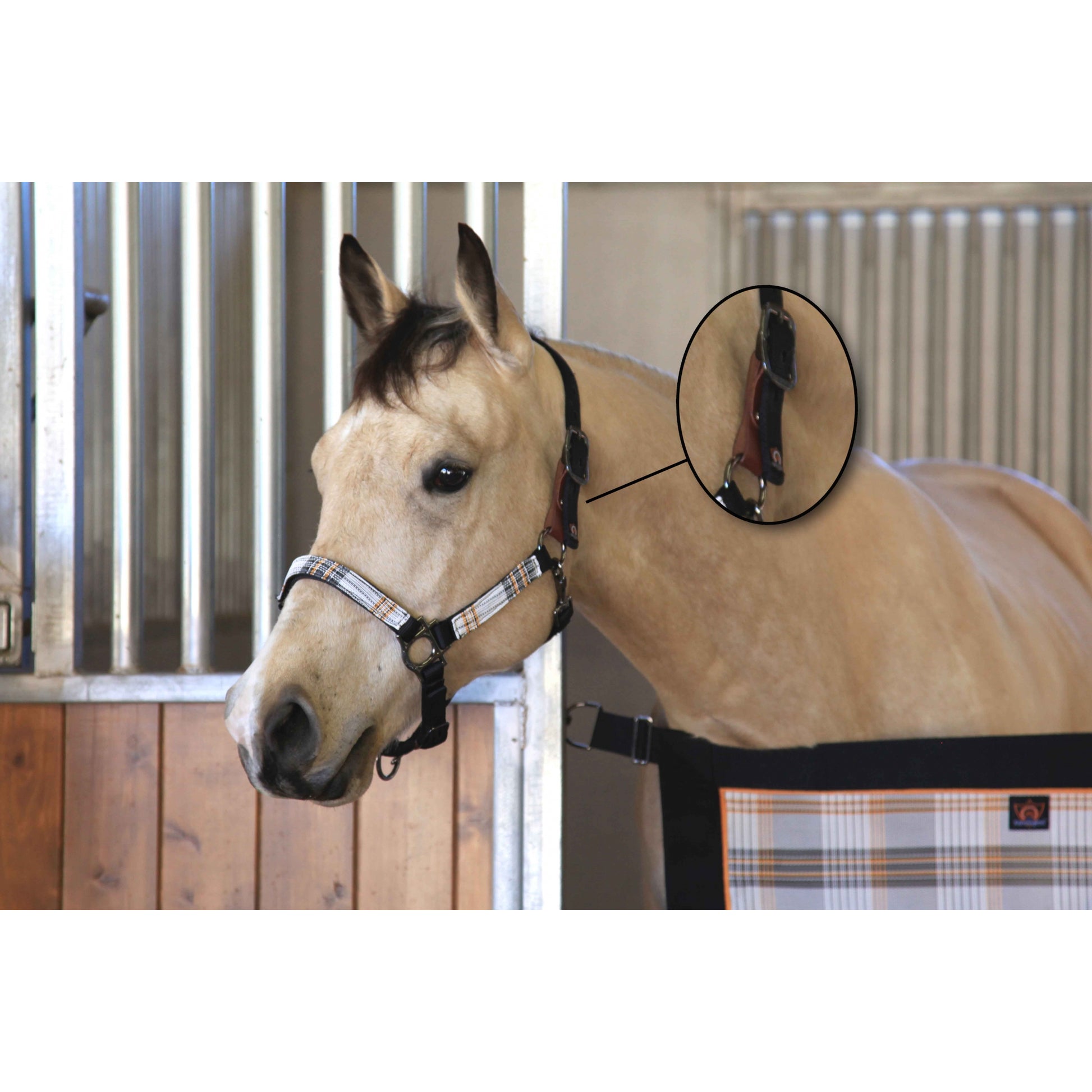 Kensington Breakaway Halter