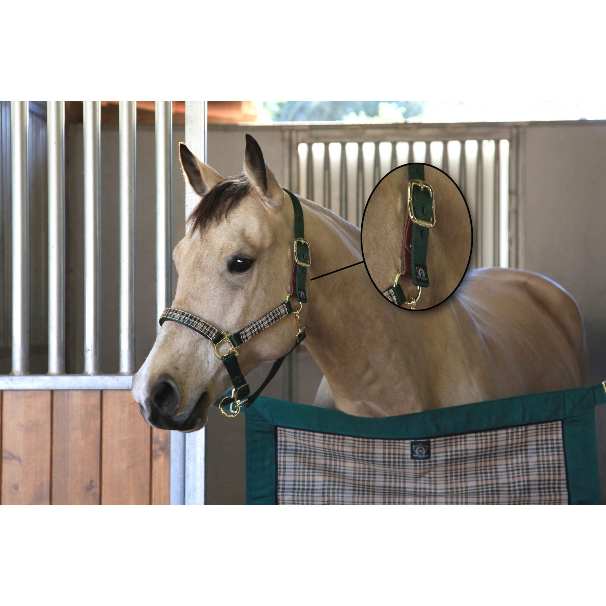 Kensington Breakaway Halter
