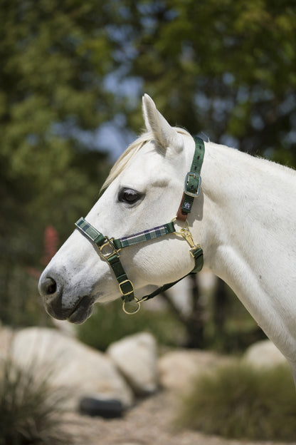 Kensington Breakaway Halter