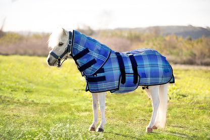 Kensington Protective Sheet Mini