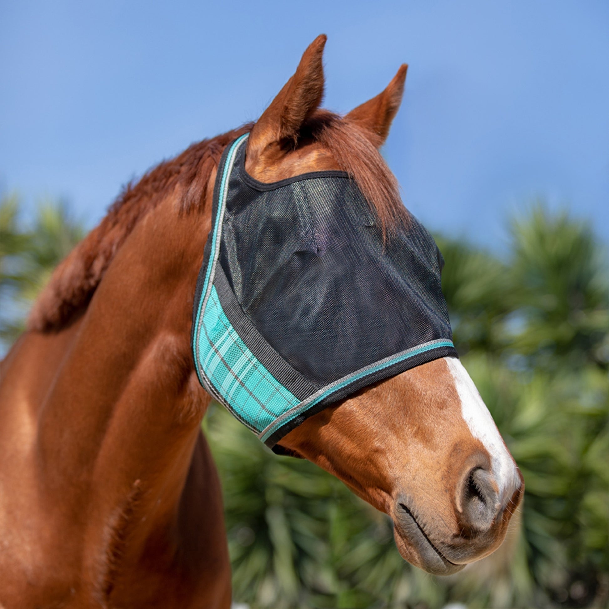UV CatchMask Web Trim