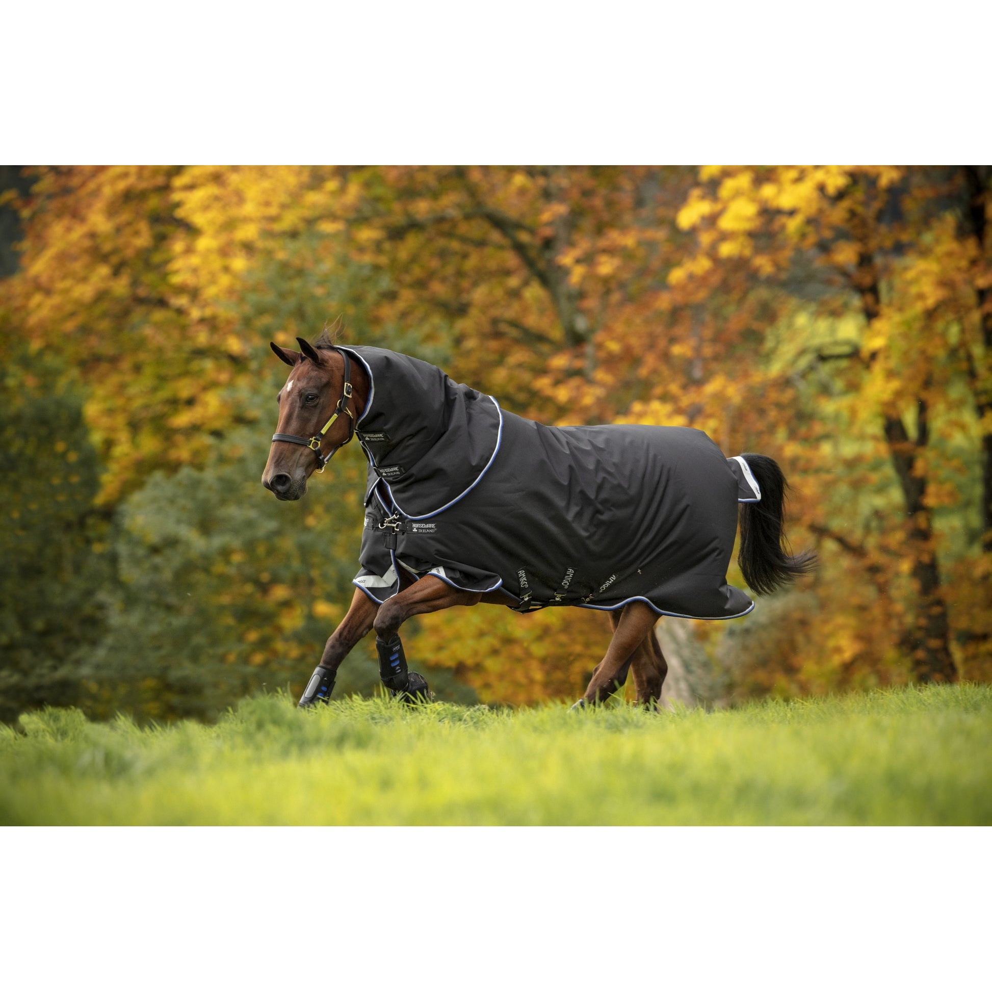 Amigo Bravo 12 Plus Turnout (250g Medium)