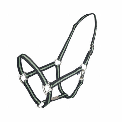 Kentucky Vogue Economy Nylon Halter